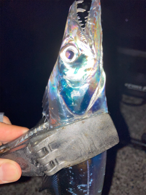 2021ライトゲーム第29戦