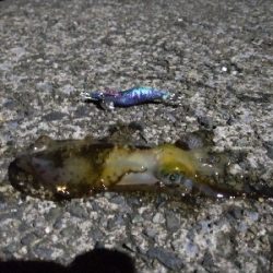 沖漬けが食べたくて