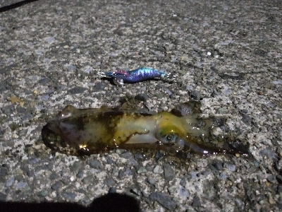 沖漬けが食べたくて