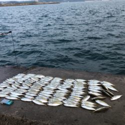 アジ爆釣！