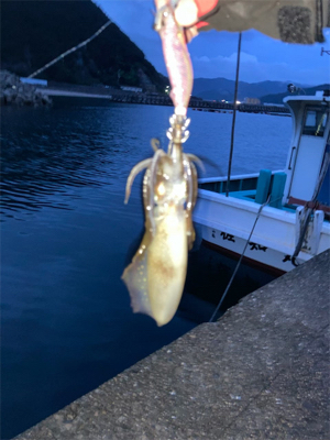 今年も新子はソーシャルディスタンス