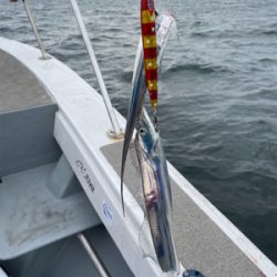 須磨沖明石沖ジギング