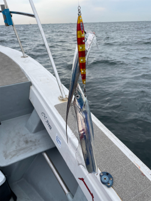 須磨沖明石沖ジギング