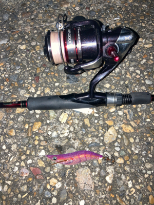 秋アオリGET (^^)