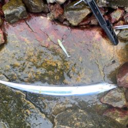 人混み避けて雨天決行