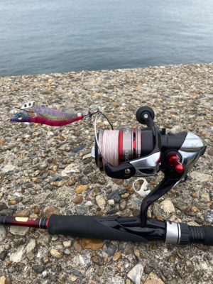 秋イカは数釣り＼(^o^)／