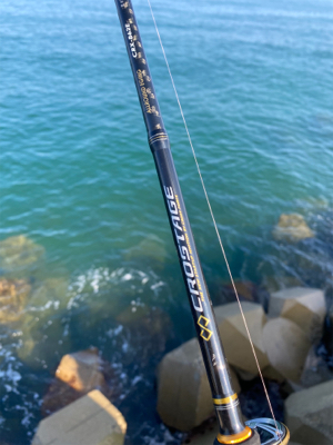 朝マズメのエギング