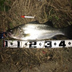 つ抜けに届かず…