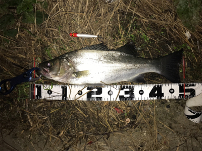 つ抜けに届かず…