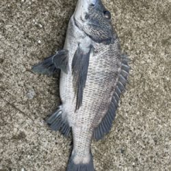 台風の去ったあと