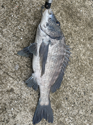 台風の去ったあと