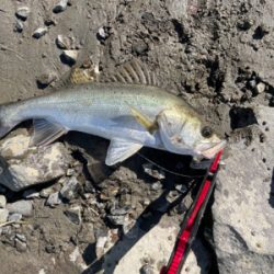 今年の夏初めての真昼間釣行
