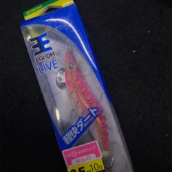 台風通過後のエギング(^.^)