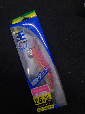 台風通過後のエギング(^.^)