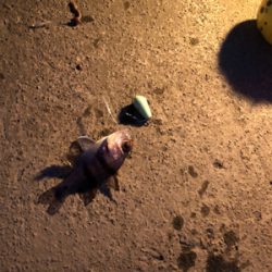 台風が過ぎたので