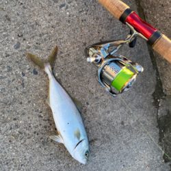 ワールドシャウラで釣れる魚を釣る。