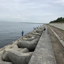 カタクチくるくる