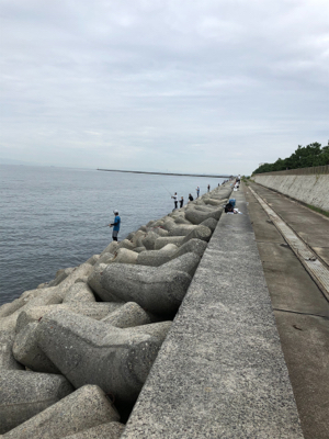 カタクチくるくる