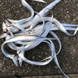 太刀魚釣り！^ ^