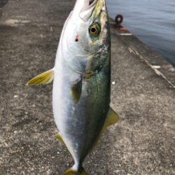 5度目にようやく！