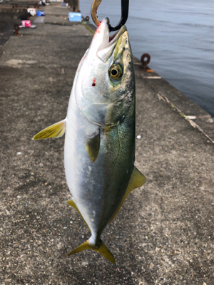 5度目にようやく！