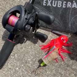 ⭐︎睡眠欲<釣り欲