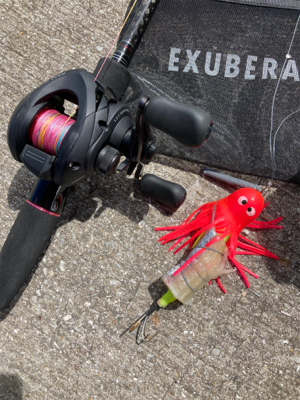 ⭐︎睡眠欲<釣り欲