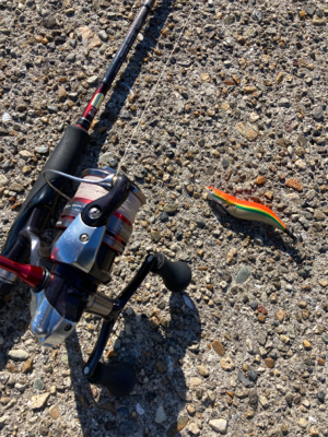 エギの選択でアオリGET＼(^o^)／