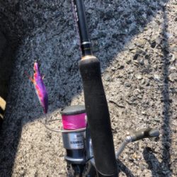 エビ撒き釣り&時々エギング