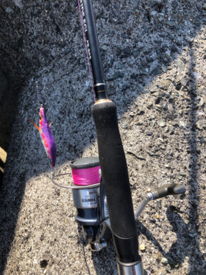 エビ撒き釣り&時々エギング