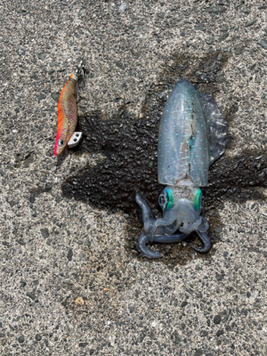 2人で4杯　しぶかった。