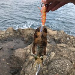 地磯釣行