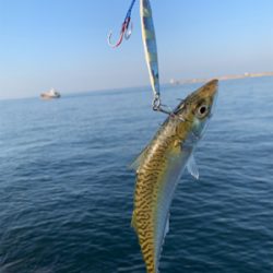 お祭り騒ぎに参加したけど…