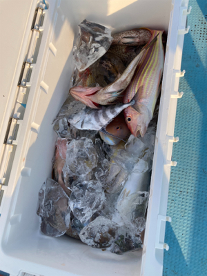 ダイソージグとインチクで五目釣