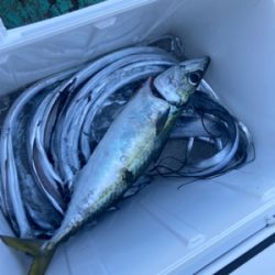 テンヤタチウオ