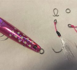 初魚種2種追加!!