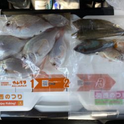 投げ釣り
