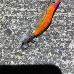 何とか1杯　坊主は免れた