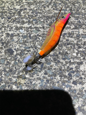 何とか1杯　坊主は免れた