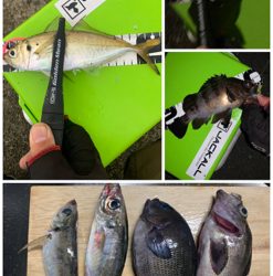 久々過ぎて大満足!