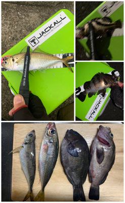 久々過ぎて大満足!