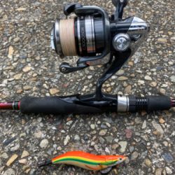 エギのローテでアオリイカGET＼(^o^)／