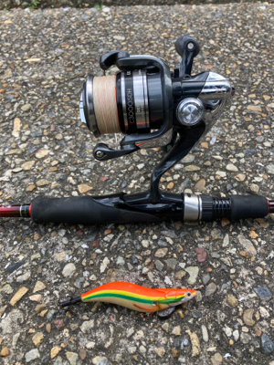 エギのローテでアオリイカGET＼(^o^)／