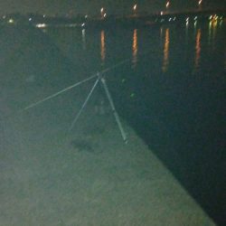 不調のアナゴ釣り