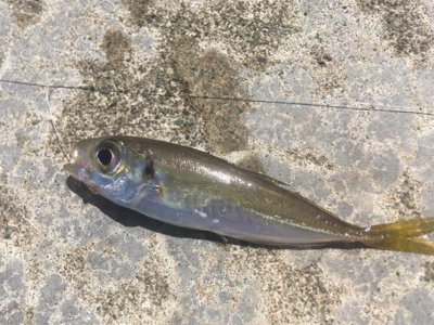 台風が来る前に