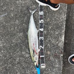 ショアジギング