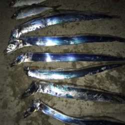 2時まではコンスタントに釣れていたのだが、、、