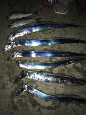 2時まではコンスタントに釣れていたのだが、…