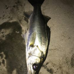 ランカーまで後2cm(>_<)