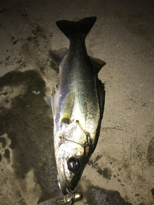 ランカーまで後2cm(>_<)